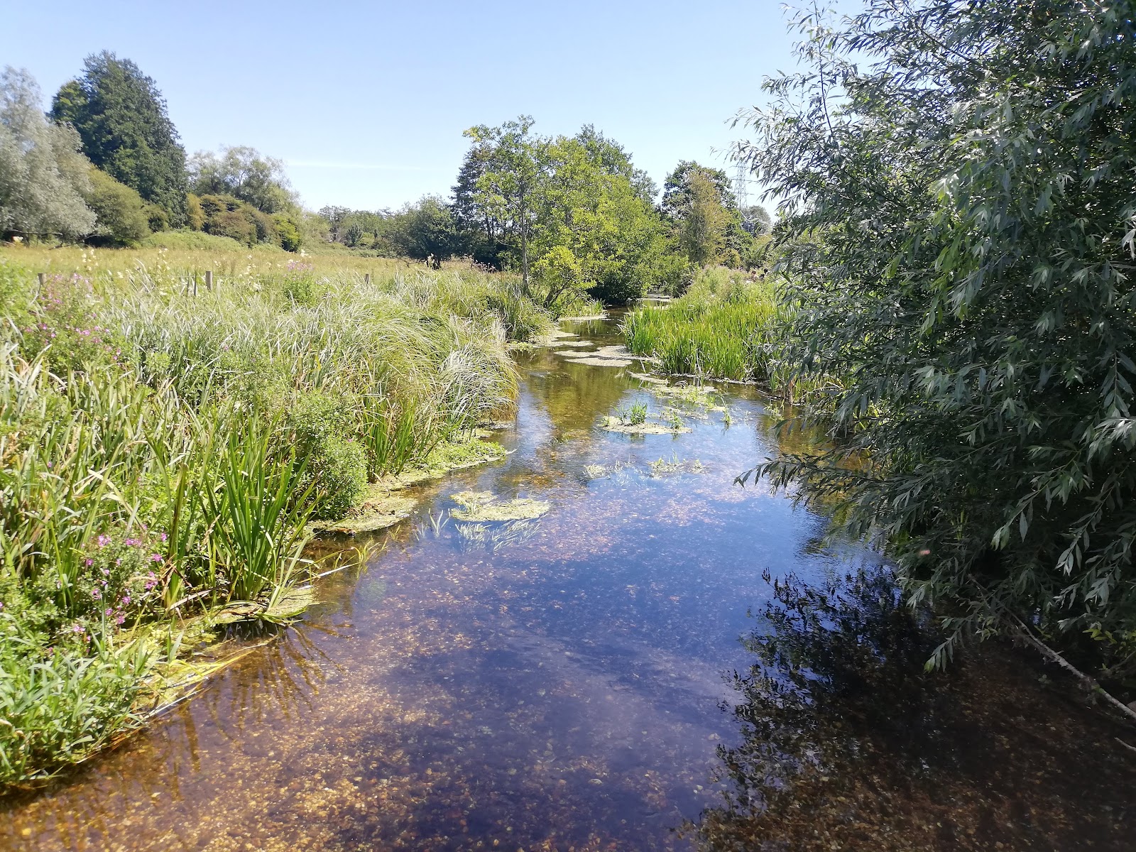Andover North East, Hampshire