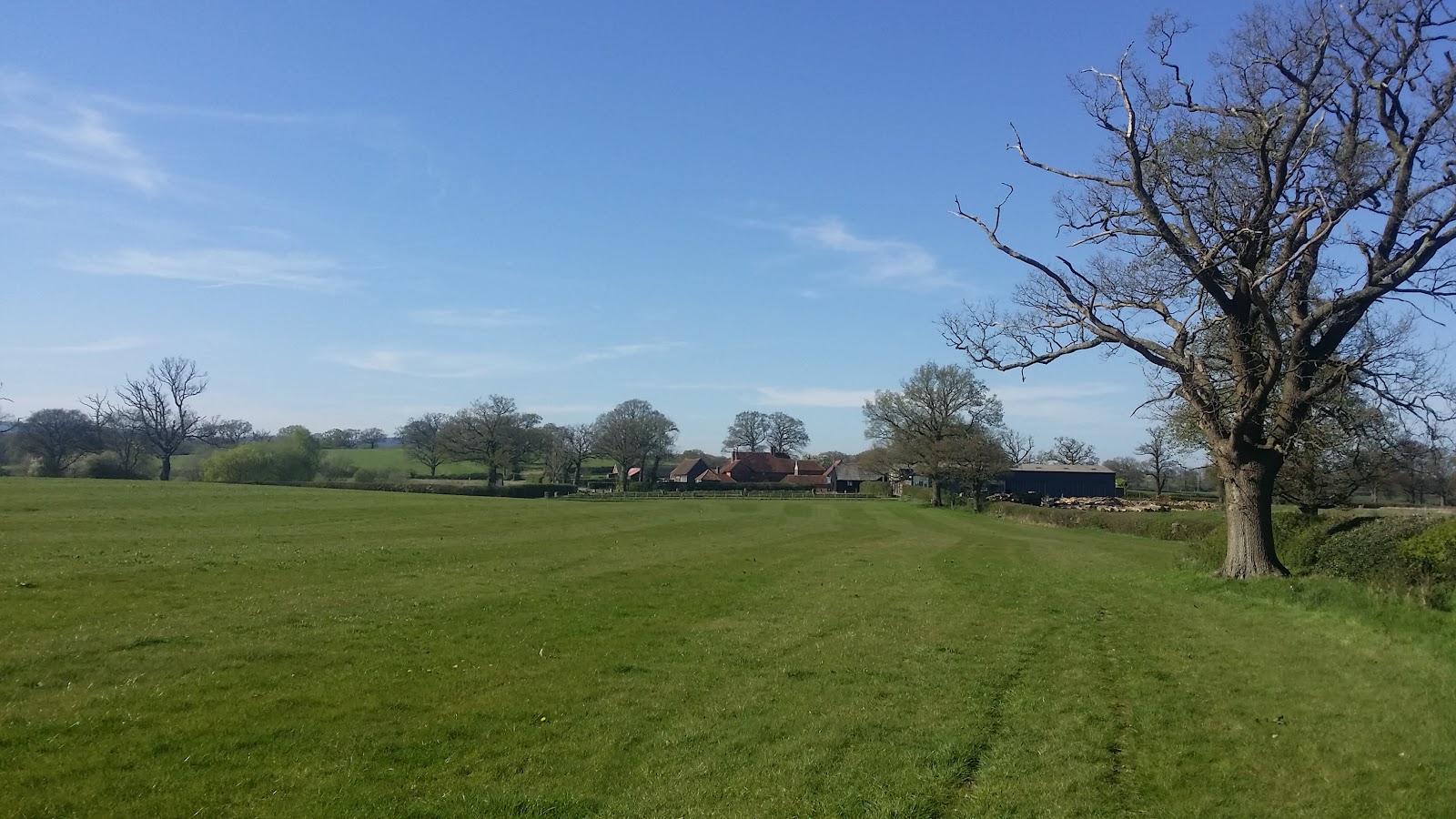 Capel, Surrey