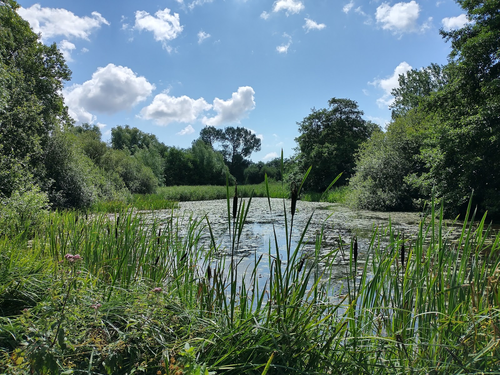 Henfield, West Sussex