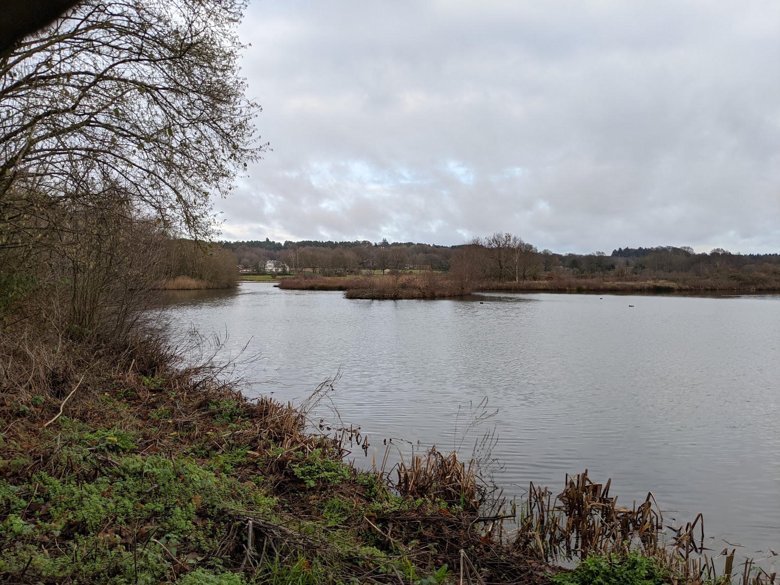 Eversley, Hampshire