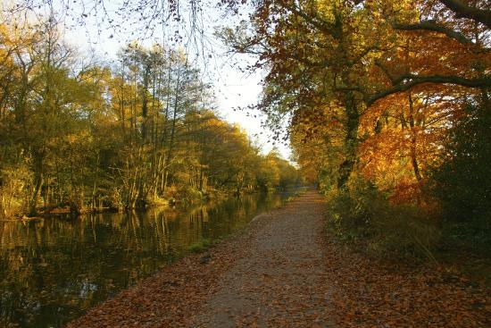 Frimley Green, Surrey