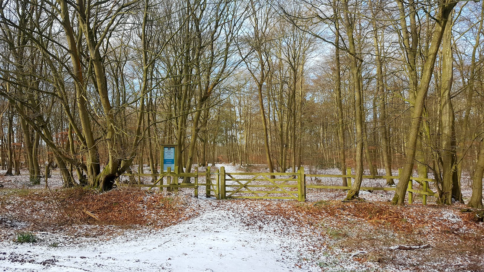 Hertford Heath, Hertfordshire