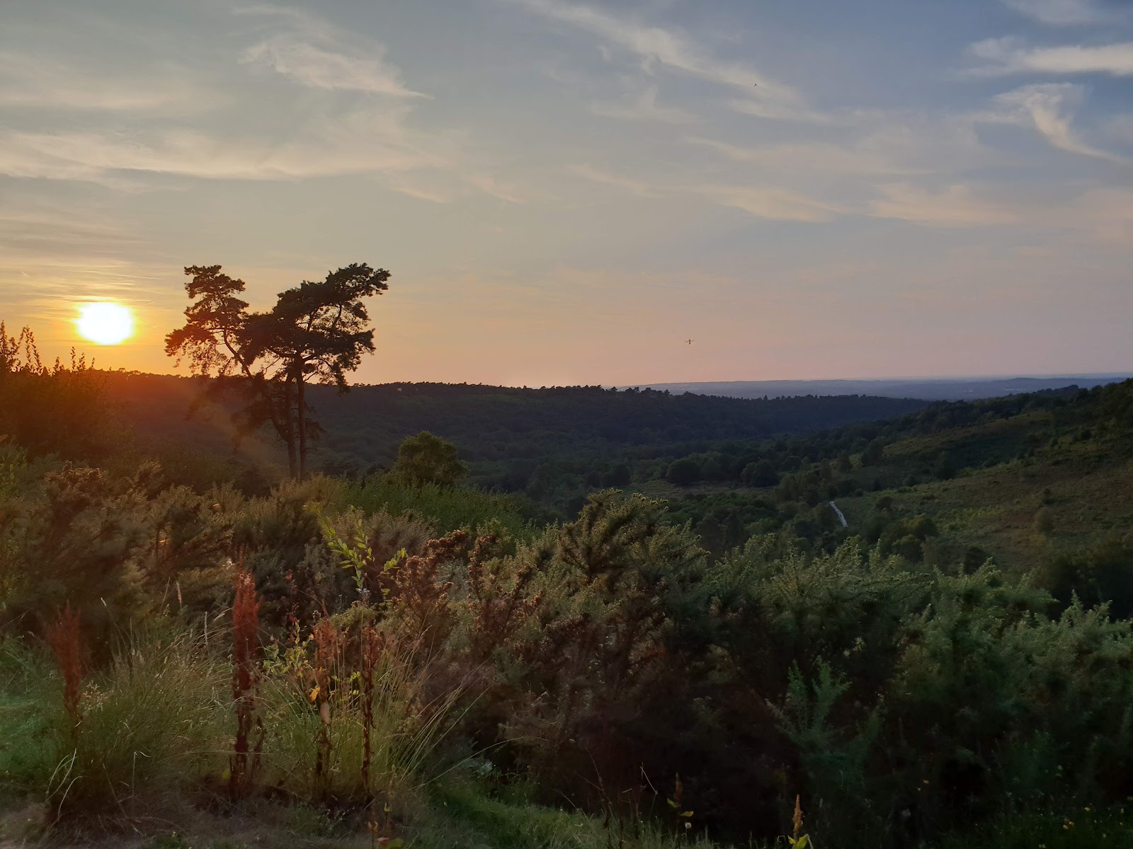 Hindhead, Surrey