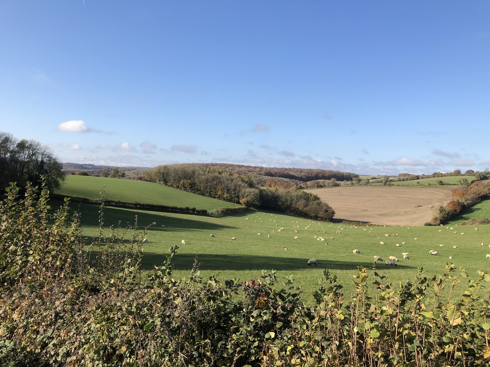 Lane End, Buckinghamshire